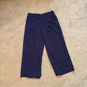 Anthropologie “Evidnt” Wide-Leg Pleated Polka Dot Trousers NWT Size L